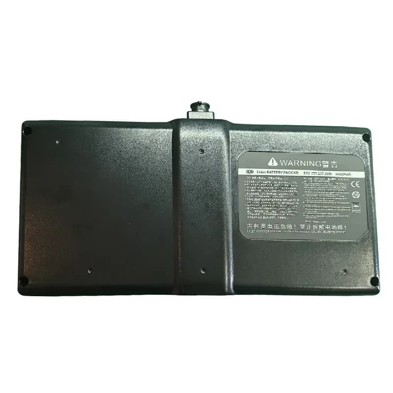 Batterie 54 V 4,4 Ah pour Ninebot Mini Pro