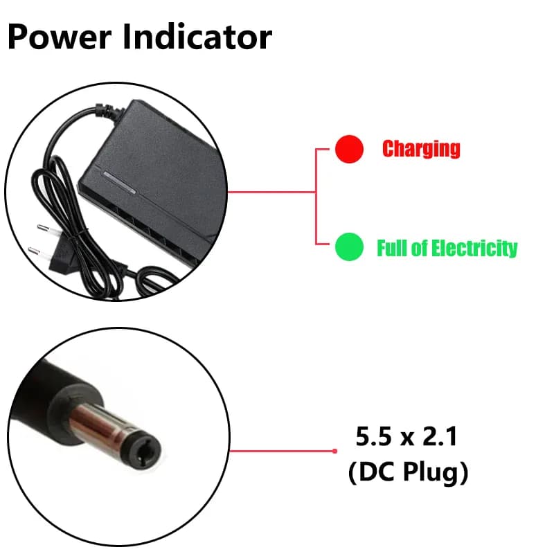 Chargeur Li-ion intelligent pour vélo électrique