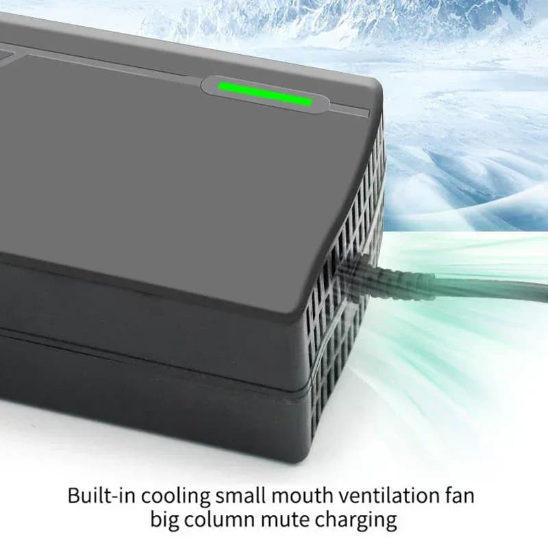Chargeur Li-ion intelligent pour vélo électrique